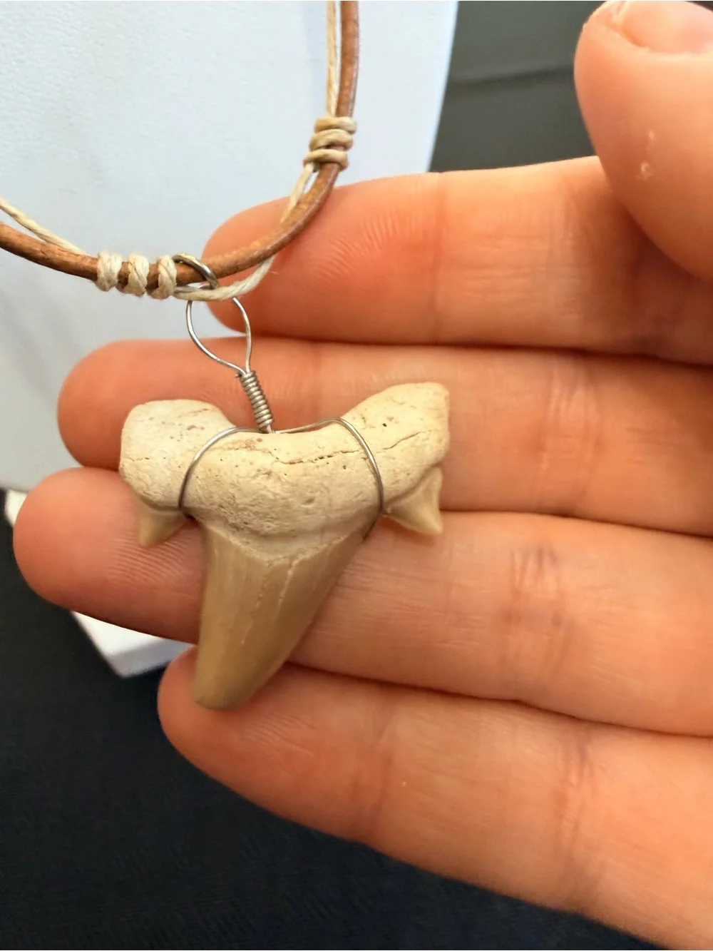 Otodus Shark tooth necklace NWOT